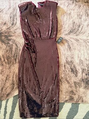 Express Sequin Midi Sheath Dress in Wine